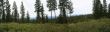 Panorama of central Oregon