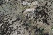 Tide pool