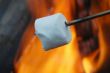 Roasting Marshmallow