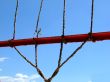 ruptured knot at the old rope in the sky