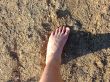 Leg of the person on the dry lifeless ground
