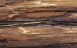 old wooden texture