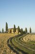 tuscan lanscape