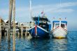 fishing boats