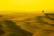 yellow tuscany
