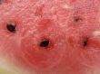 watermelon pulp background
