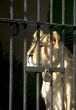 behind bars