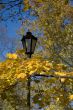 street lamp