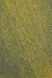 abstract bronze background
