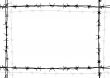barbed wire frame