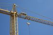 crane