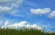 background of grass and blue sky