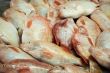 fish at fishmarket