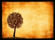 grunge frame with tree silhouette
