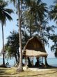 tropical paradise