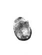 black finger print