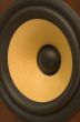 kevlar speaker