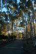 pathway