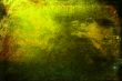 backgrounds