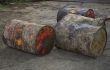 grunge barrels in the backyard