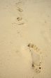 footprints in the sand