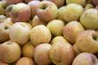 wet apples in the market