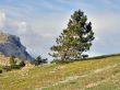 Mountain landscape. Crimea.