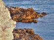 sea coast. The western Crimea.