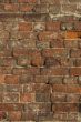 brick wall