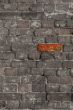 brick wall