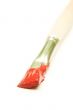 brush - shallow focus
