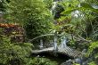 woden bridge in eastern garden