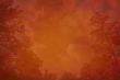 grunge forest background with space for text