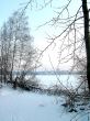 Winter view 2