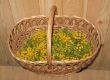 yellow daisies in a basket