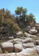  Texas Canyon Rock formations with trees