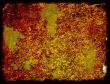 Great for textures and backgrounds