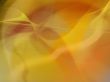 Great for textures and backgrounds