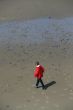 Walking on the beach at low tide