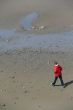 Walking on the beach at low tide