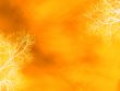 orange floral background