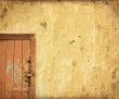 grunge door background with space for text