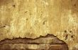 old wall - perfect grunge background