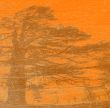 grunge background with tree silhouette