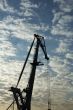 silhouette of crane