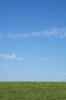 background of green grass and blue sky
