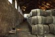 port barrels in vineyard