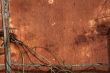 grunge frame of old wall and branches
