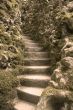 stone stairs