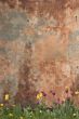 grunge wall with tulips